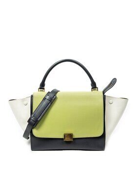 Celine Trapeze Medium to Gray Light Green Ivory Calfskin Handbag